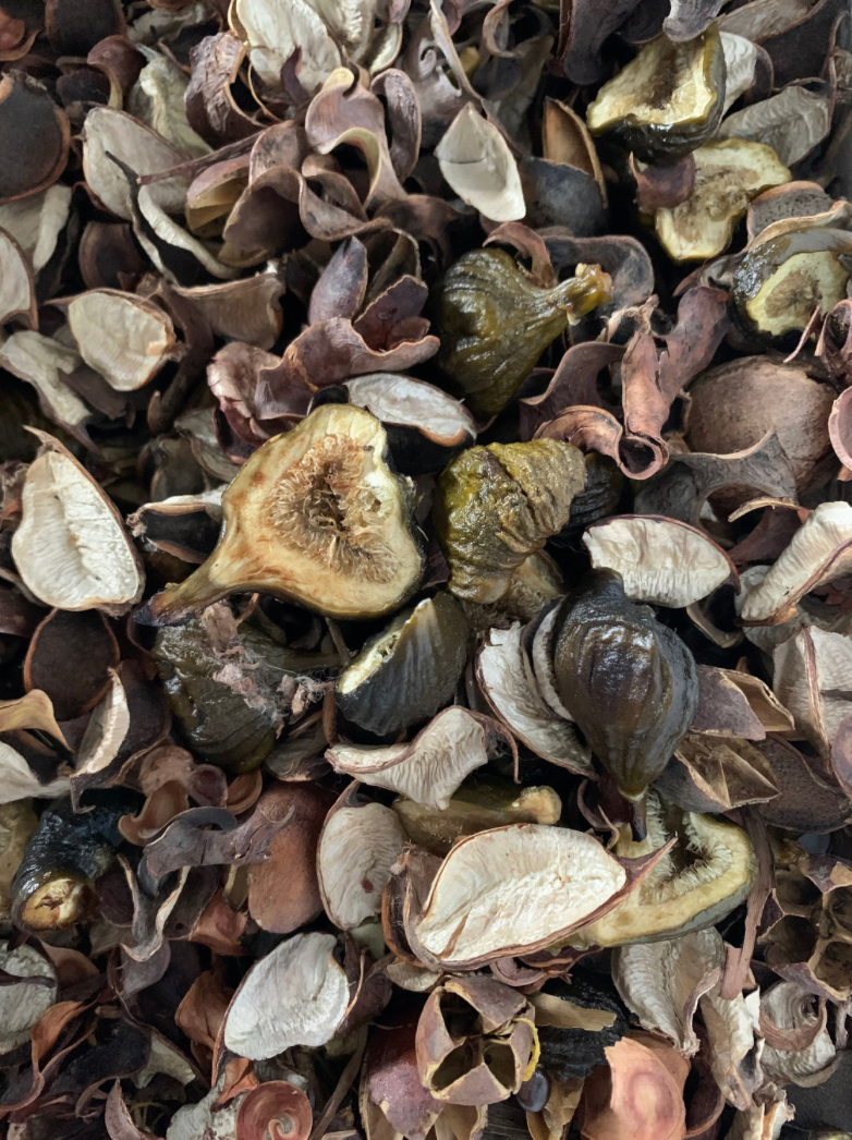 Zora & Sarah London Ficulnea Farrago Pot Pourri