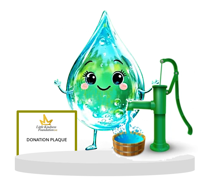 Manual Water Pump